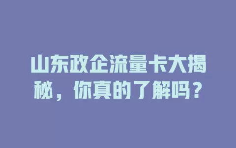 山东政企流量卡大揭秘，你真的了解吗？