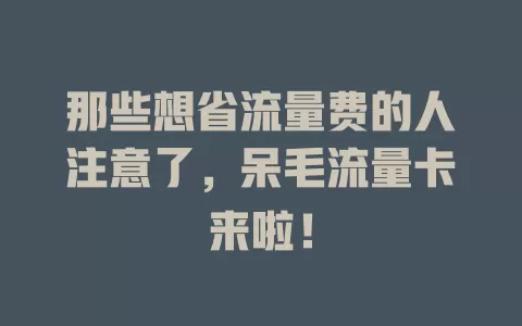 那些想省流量费的人注意了，呆毛流量卡来啦！