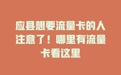 应县想要流量卡的人注意了！哪里有流量卡看这里