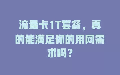 流量卡1T套餐，真的能满足你的用网需求吗？