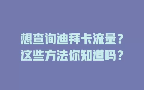 想查询迪拜卡流量？这些方法你知道吗？