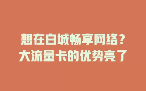 想在白城畅享网络？大流量卡的优势亮了