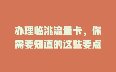 办理临洮流量卡，你需要知道的这些要点