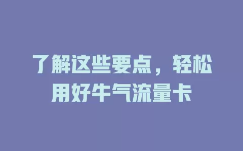 了解这些要点，轻松用好牛气流量卡