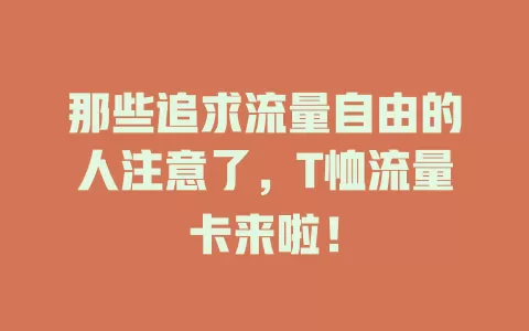 那些追求流量自由的人注意了，T恤流量卡来啦！