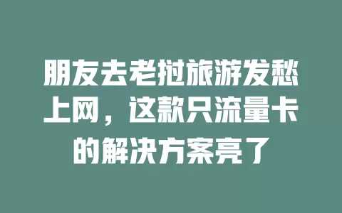 朋友去老挝旅游发愁上网，这款只流量卡的解决方案亮了