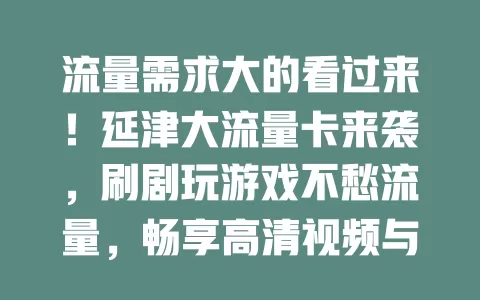 流量需求大的看过来！延津大流量卡来袭，刷剧玩游戏不愁流量，畅享高清视频与畅聊，网络生活超畅快