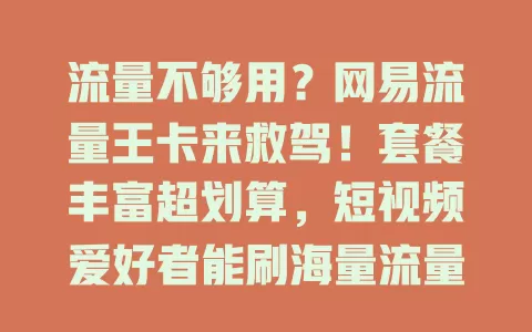 流量不够用？网易流量王卡来救驾！套餐丰富超划算，短视频爱好者能刷海量流量，出差党随时保持网络畅通，告别高额流量费，快来畅享畅快网络生活！
