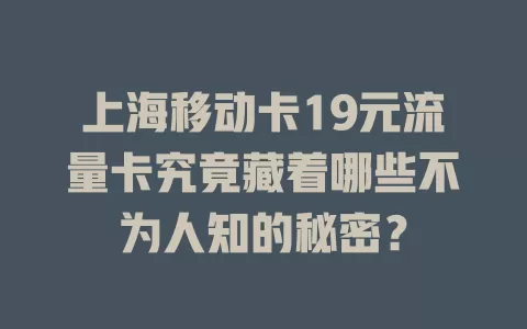 上海移动卡19元流量卡究竟藏着哪些不为人知的秘密？