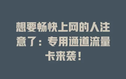 想要畅快上网的人注意了：专用通道流量卡来袭！