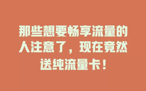 那些想要畅享流量的人注意了，现在竟然送纯流量卡！