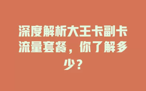 深度解析大王卡副卡流量套餐，你了解多少？