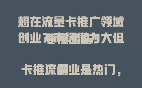 想在流量卡推广领域创业？市场潜力大但要懂这些！

流量卡推广创业是热门，前景虽好但并非易事。要摸透市场需求，精准定位客户，紧跟市场趋势，建立良好合作关系，才能在这潜力领域抓住机遇，实现创业梦想！
