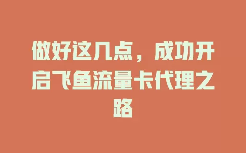 做好这几点,成功开启飞鱼流量卡代理之路