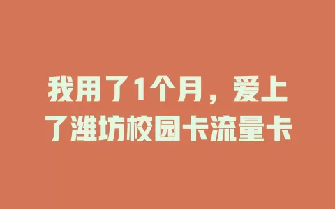 我用了1个月，爱上了潍坊校园卡流量卡