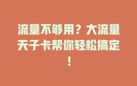 流量不够用？大流量天子卡帮你轻松搞定！