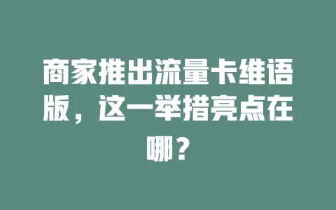 商家推出流量卡维语版，这一举措亮点在哪？