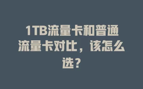 1TB流量卡和普通流量卡对比，该怎么选？