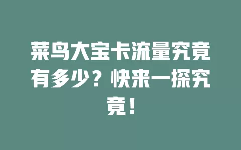 菜鸟大宝卡流量究竟有多少？快来一探究竟！