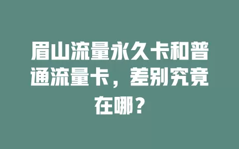 眉山流量永久卡和普通流量卡，差别究竟在哪？