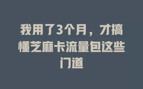 我用了3个月，才搞懂芝麻卡流量包这些门道