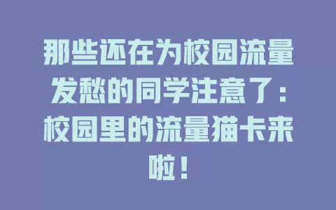 那些还在为校园流量发愁的同学注意了：校园里的流量猫卡来啦！