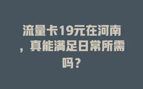 流量卡19元在河南，真能满足日常所需吗？