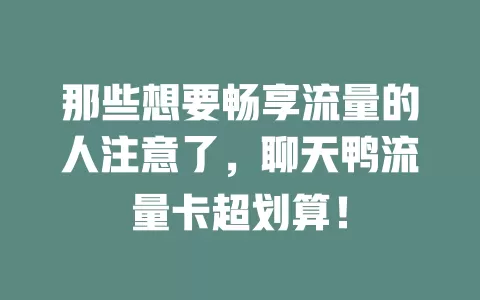 那些想要畅享流量的人注意了，聊天鸭流量卡超划算！