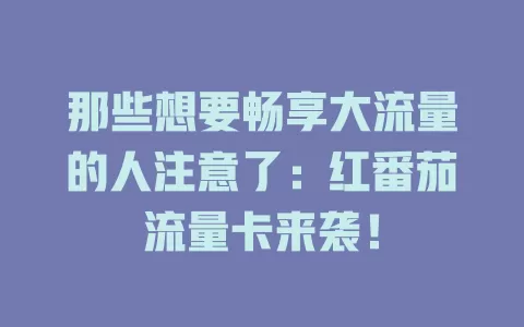 那些想要畅享大流量的人注意了：红番茄流量卡来袭！