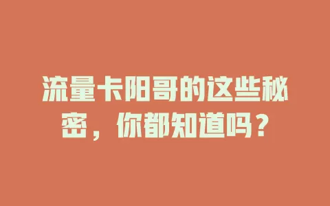 流量卡阳哥的这些秘密，你都知道吗？