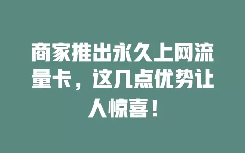 商家推出永久上网流量卡，这几点优势让人惊喜！