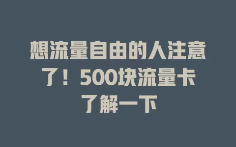 想流量自由的人注意了！500块流量卡了解一下
