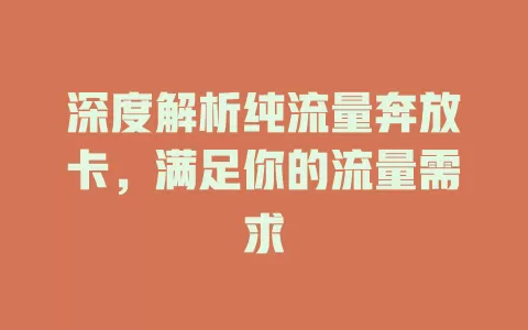 深度解析纯流量奔放卡，满足你的流量需求
