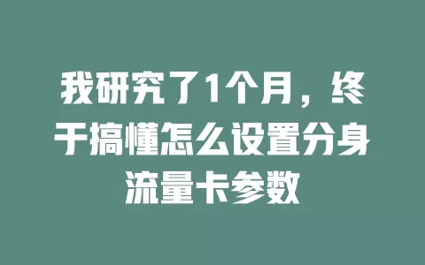 我研究了1个月，终于搞懂怎么设置分身流量卡参数