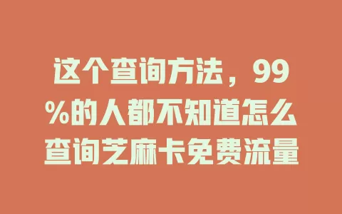 这个查询方法，99%的人都不知道怎么查询芝麻卡免费流量