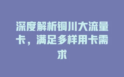 深度解析铜川大流量卡，满足多样用卡需求
