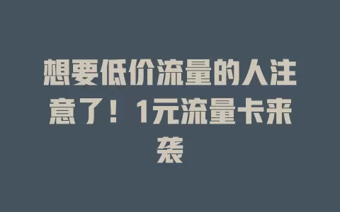 想要低价流量的人注意了！1元流量卡来袭
