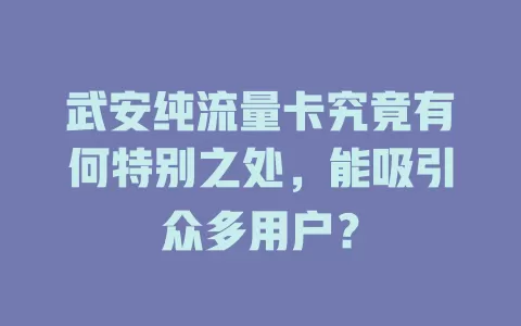 武安纯流量卡究竟有何特别之处，能吸引众多用户？