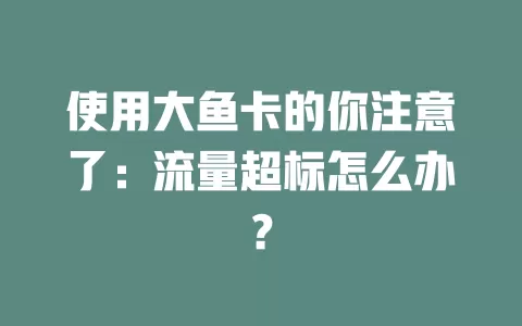 使用大鱼卡的你注意了：流量超标怎么办？