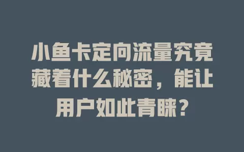 小鱼卡定向流量究竟藏着什么秘密，能让用户如此青睐？