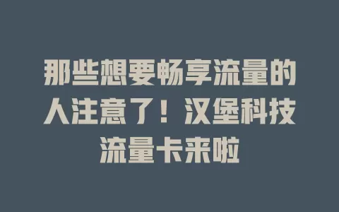那些想要畅享流量的人注意了！汉堡科技流量卡来啦