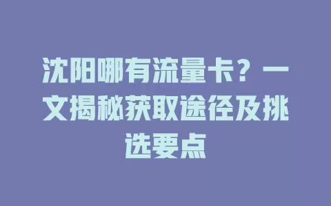 沈阳哪有流量卡？一文揭秘获取途径及挑选要点