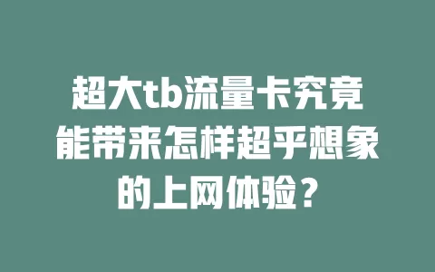 超大tb流量卡究竟能带来怎样超乎想象的上网体验？