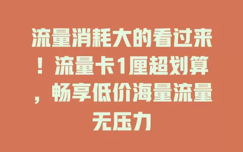 流量消耗大的看过来！流量卡1厘超划算，畅享低价海量流量无压力