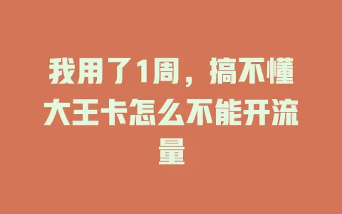 我用了1周,搞不懂大王卡怎么不能开流量