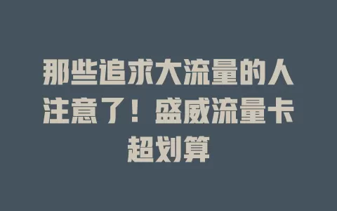 那些追求大流量的人注意了！盛威流量卡超划算