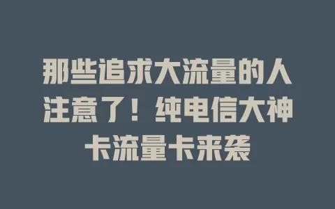 那些追求大流量的人注意了！纯电信大神卡流量卡来袭