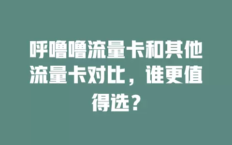 呼噜噜流量卡和其他流量卡对比，谁更值得选？