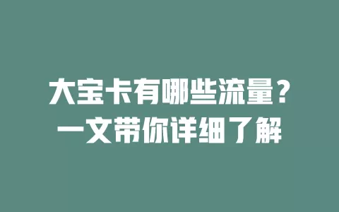 大宝卡有哪些流量？一文带你详细了解