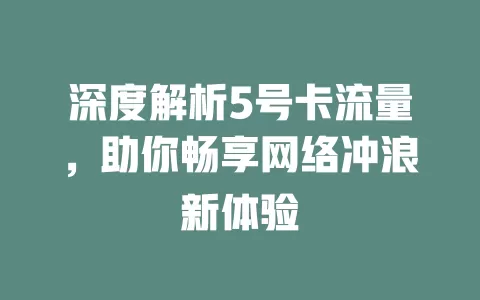 深度解析5号卡流量，助你畅享网络冲浪新体验